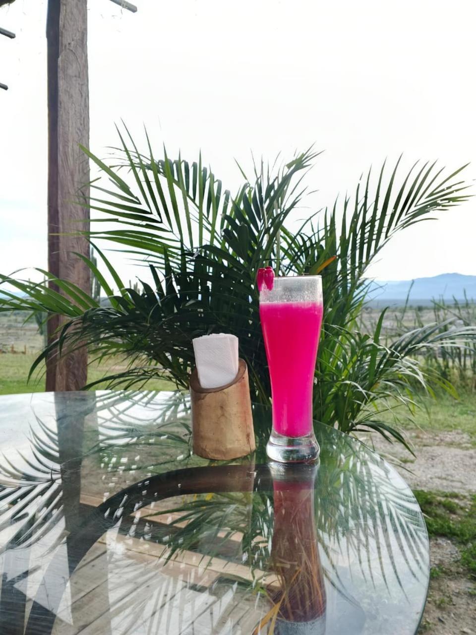 Hotel Flor De Liz Bereshit Bara Villavieja Εξωτερικό φωτογραφία